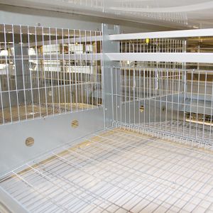 High Performance Poultry Chicken Cage 4 / 5 / 6 / 8 Tiers 120 * 60 * 70 Cm Size