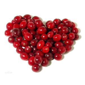 high quality cranberry fruit powder sample free--Cranberry juice
