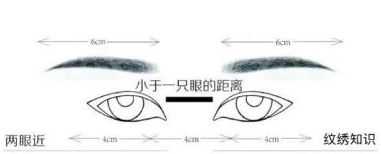 Artificial Fibers Cosmetic Beauty Tools / Black Eye Makeup Brushes For Eyelashes / Eyebrows