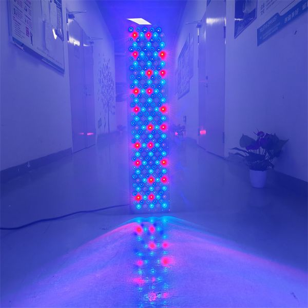 Professional Red Light Therapy Full Body Panels Customized Wavelength Red Light Therapy Devices