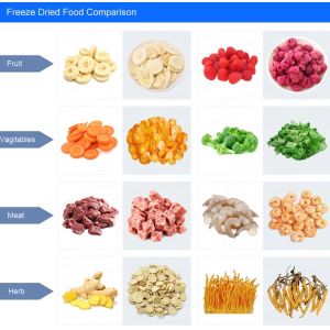 SED-3M 380V,50Hz,3 Phase,5Wire Low Temperature Horizontal Freeze Dried Food