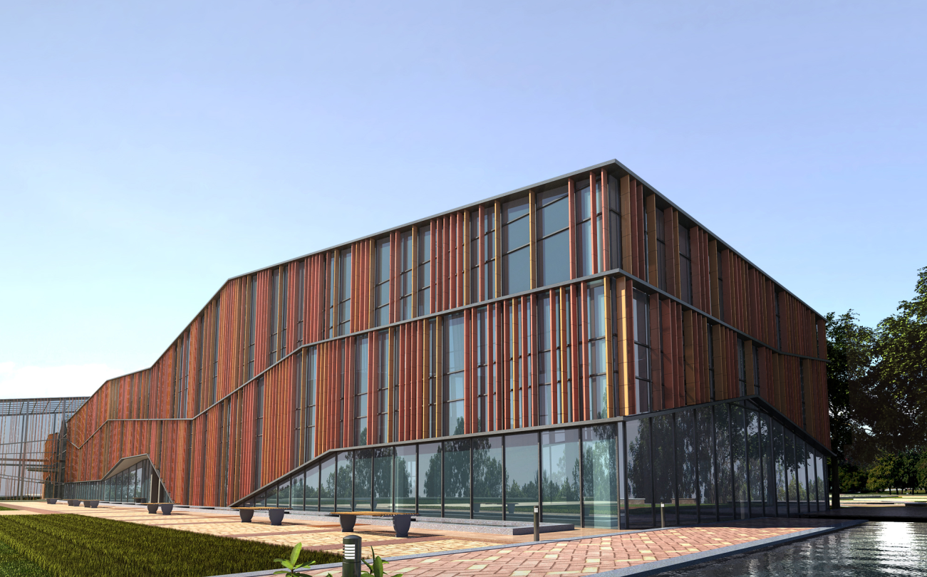 Custom Steel Structure Hangar 1550㎡ with H Section Beams