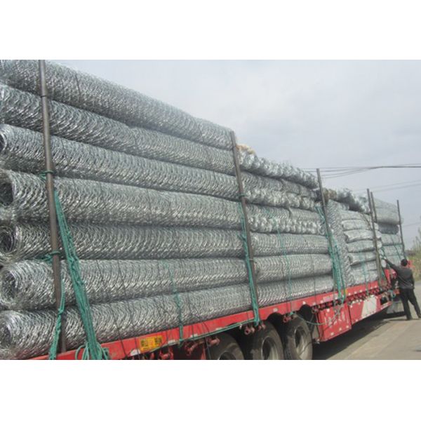 Buy PVC Coated Galvanized Chicken Hexagonal Wire Mesh Rust Resistant at wholesale prices