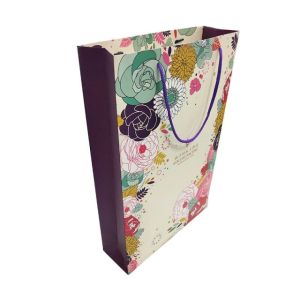 Recyclable Custom Paper Gift Bags Pantons Colors Various Sizes Eco - Friendly