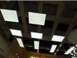 300*300mm LED panel lamp dimmable