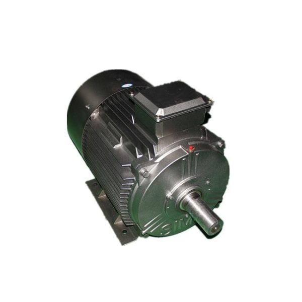 Buy IP55 Class F Low Voltage AC Asynchronous Motor YE3 160L-4-15kW 28.8A at wholesale prices
