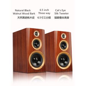 Battery Powered Active Sound Monitor 10-120w Output Power Ideal for Live