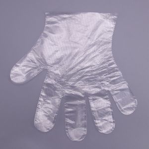 China Embossed Surface Food Touch Disposable Plastic Gloves on sale