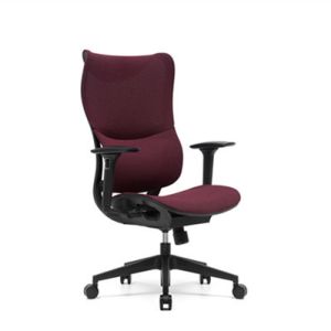 90-135 Degree Home Office Ergonomic Chairs Computer Use Modern