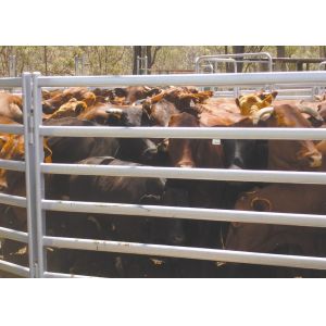 Assembled Galvanized 1.8x3.37m Heavy Duty Cattle Yard Gates