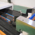 Efficiency Redefined Date Grading Machinery with High Accuracy And High Capacity