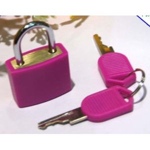 Mini Plastic Lock/20MM Mini Lock
