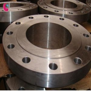 DIN forged flanges