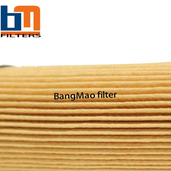 Lubrication System Hydraulic Oil Filter Cartridges R111C10B for OEM Applications