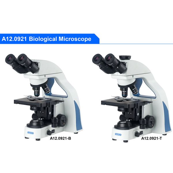 OPTO-EDU A12.0921 Biological 47mm Compound Optical Microscope