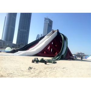 Rentable Wonderful Backyard Massive Inflatable Water Slide For Kids