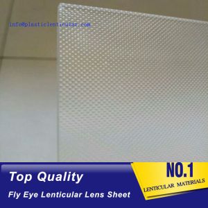 PLASTIC LENTICULAR 17 lpi 3d fly eye lenticulars lens sheet PS dot lenticular