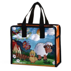 Bopp Reusable Non Woven Polypropylene Tote Bags Zip Shopping Bag Gravure