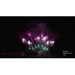 130 Shots Professional Pyrotechnics Fireworks AFSL Certified
