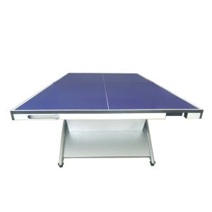Rainbow Leg Competition Table Tennis Table