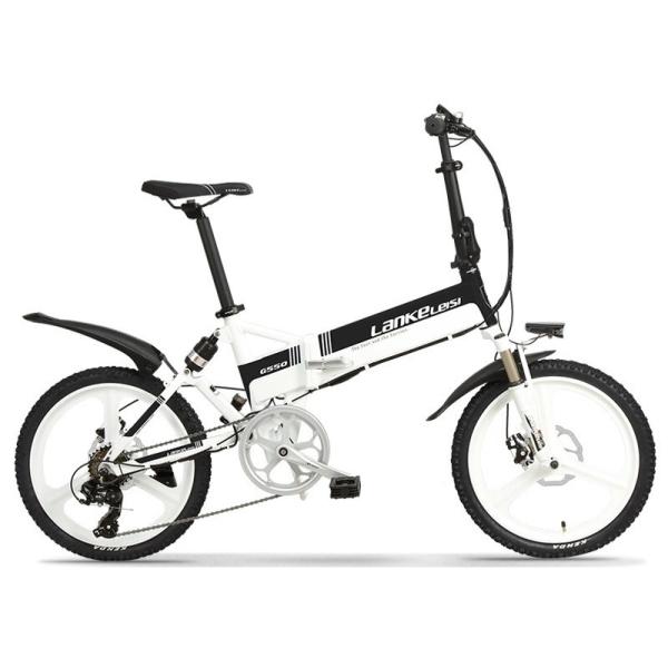 Buy Intelligent PAS Folding 20 Inch Electric Bike Removable 48V 13AH L G Lithium at wholesale prices