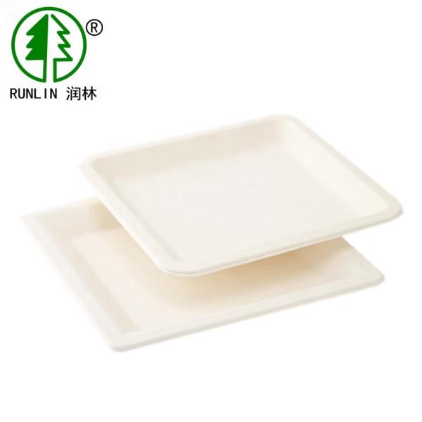Buy LFGB Rectangular Biodegradable Sugarcane Disposable Plates For Wedding Parties at wholesale prices