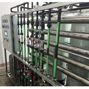 1T/H Reverse Osmosis System Secondary Stage With Simens PLC Control Cabinet For