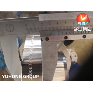 ASTM A462 ALLOY 8367 Hot Dip Galvanizing Flange WNRF