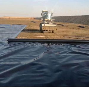 50m-100m Length 1.2mm HDPE Geomembrane for Fish Pond and Landfill 3D Model