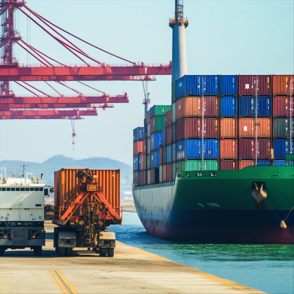 International Ocean Freight Forwarder and shipping agent door to door From China