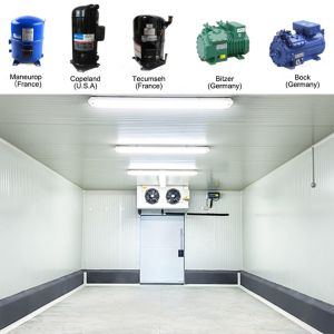 Commercial Cold Room Freezer For Fruits And Vegetables