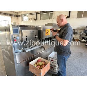 Zibounique 304 Stainless Industrial Steel Pear Peeler Perfect for Apple and