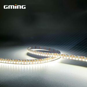 Double Row 2835 Three Color Temperature Lamp With Indoor And Outdoor Lighting