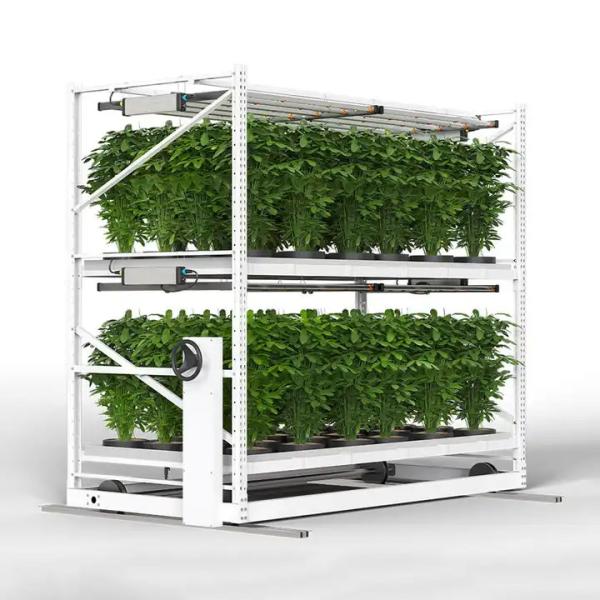Construction Irrigation Holding Stands Intelligent Home Hydroponic Lettuce