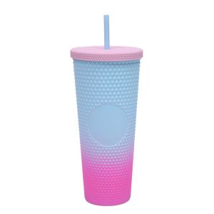 Collections Tumbler With Lid And Straw Insulated Double-Wall Acrylic Cup