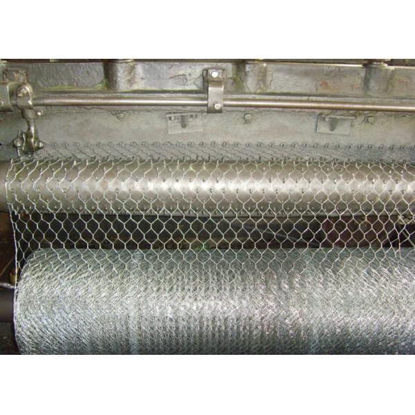 Buy plant protection 25mm	BWG24 Hexagon Metal Mesh at wholesale prices
