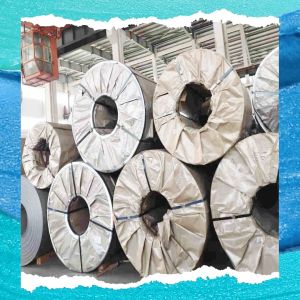 904L SS Coil Hot Rolled Mill Edge Steel Grade for Industrial Use