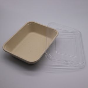 disposable lunch tray compostable sugarcane bassage serving trays