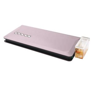 Plastic Packaging Material Handheld Chamber Vacuum Sealer Bag for Household