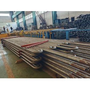 Custom Austenitic Stainless Steel Superheater Reheater