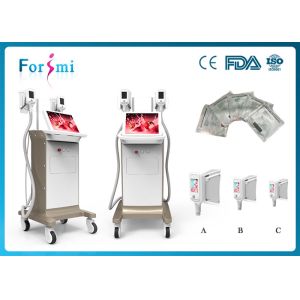 Quality Low price fat freezing cryolipolysis criolipolisis cryo slimming machine equipment for sale