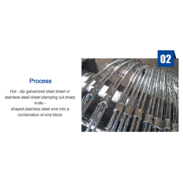 Anti Climb Razor Wire Galvanized Concertina Razor Blade Barbed Wire