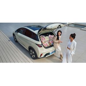 1.5L Displacement BYD Seal06 DM-i 120KM Leading Edition