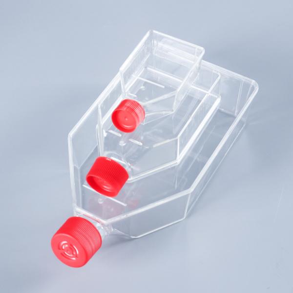 cell culture flask 100% PP Cell Culture Flask For Cytology Laboratory Culture Products