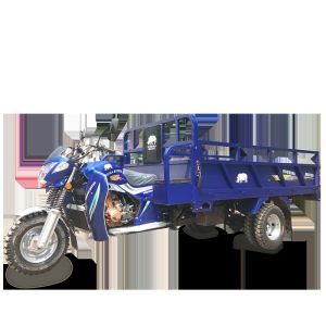 300cc Gas Powered Cargo Tricycle with 2000kg Loading Capacity