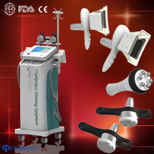 Buy Fat Freez Cryolipolysis Slimming Machine For Body Shaping at wholesale prices