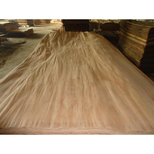 Buy Watergum face veneer at wholesale prices