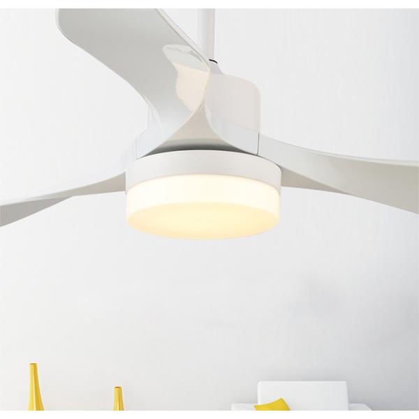 220V Ceiling Fan Light LED Energy Remote Control Ceiling Light Fan Indoor Living Room White Ceiling Fan(WH-CLL-21)