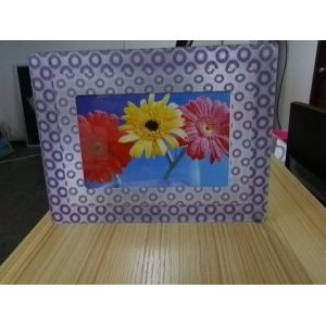 PLASTIC LENTICULAR fly eye lens images fly eye lens photo 3d photo frames with