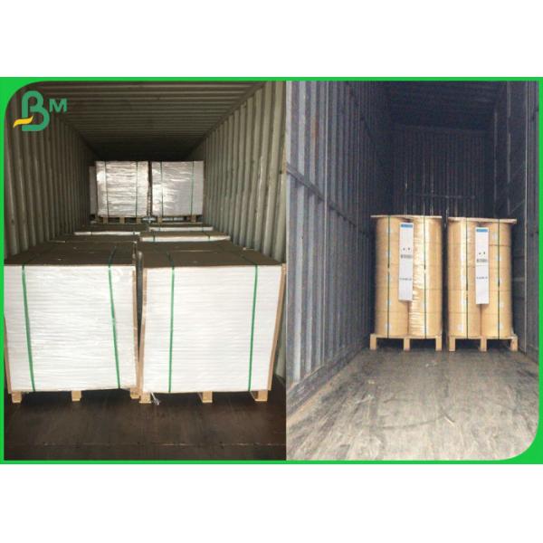 Greaseproof Food Grade 40gsm 50gsm 60gsm+10g PE Coated Paper For Food Packages